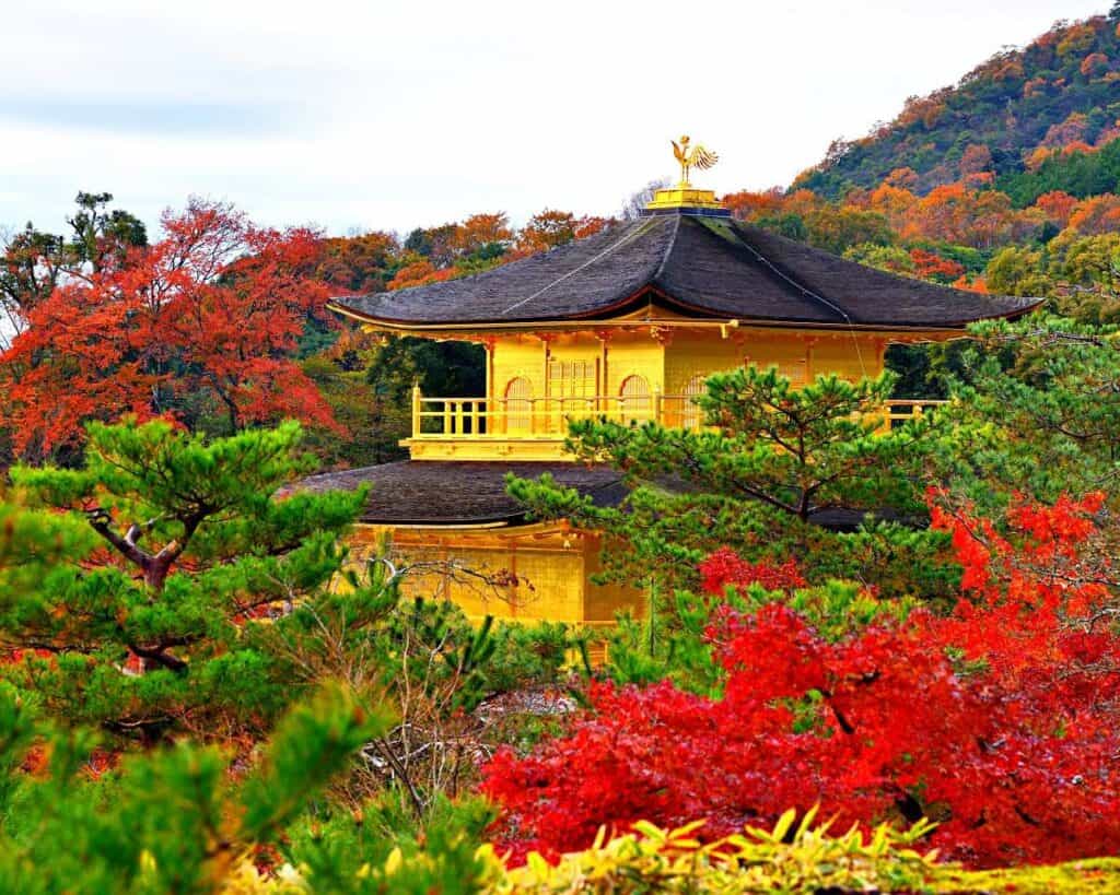 Kinkaku-ji Temple (Golden Pavilion), Kyoto, Japan in autumn