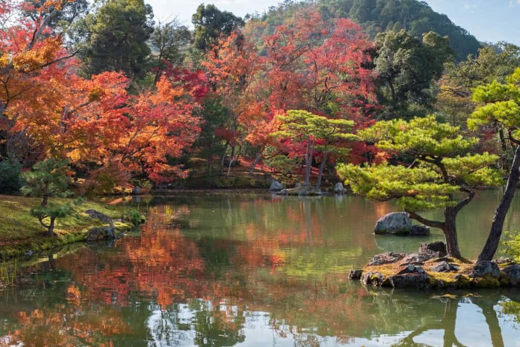 The pretty grounds of Kinkakuji Temple in Kyoto, Jaoan